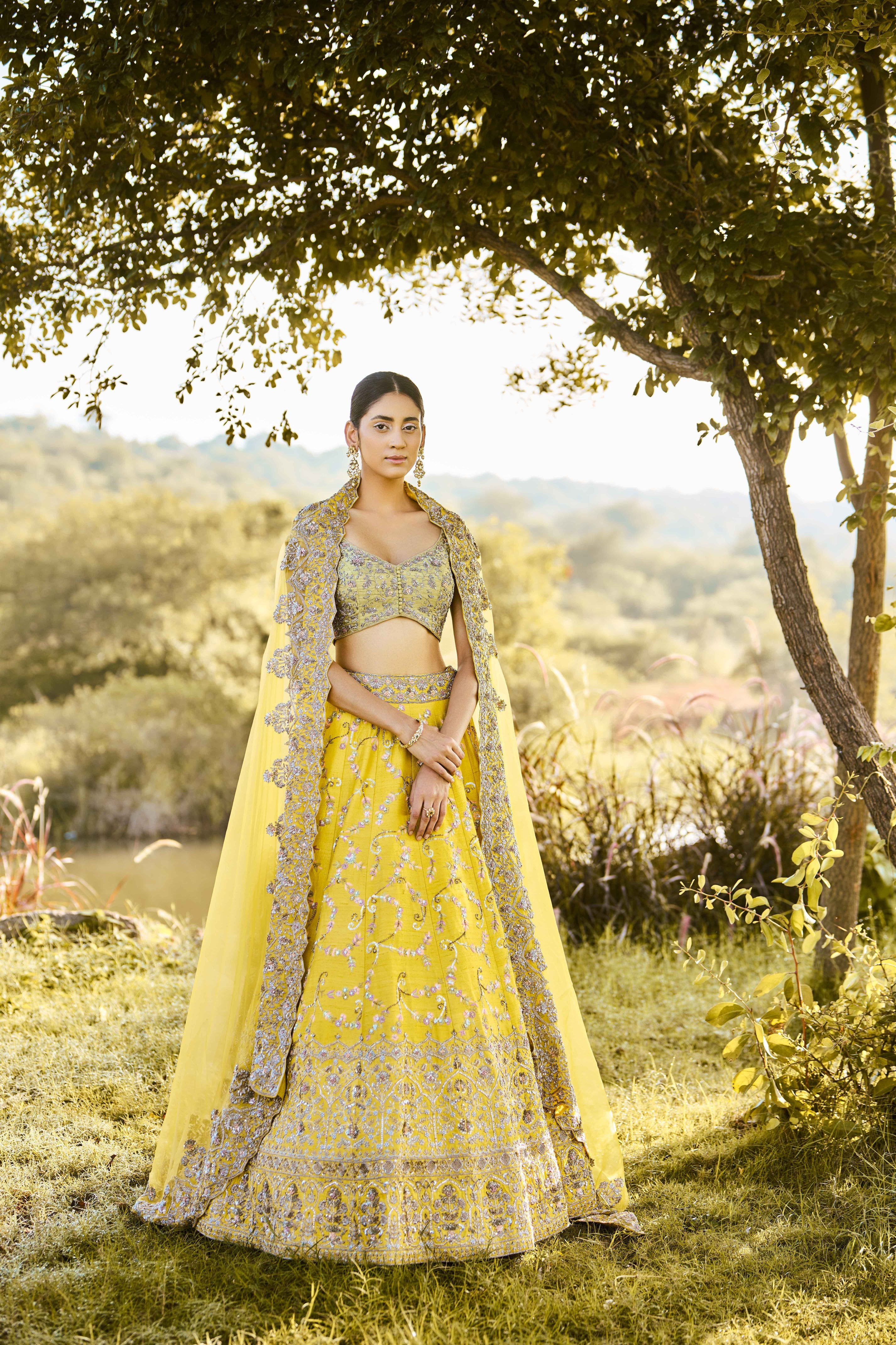 Ephemeral Lehenga Set