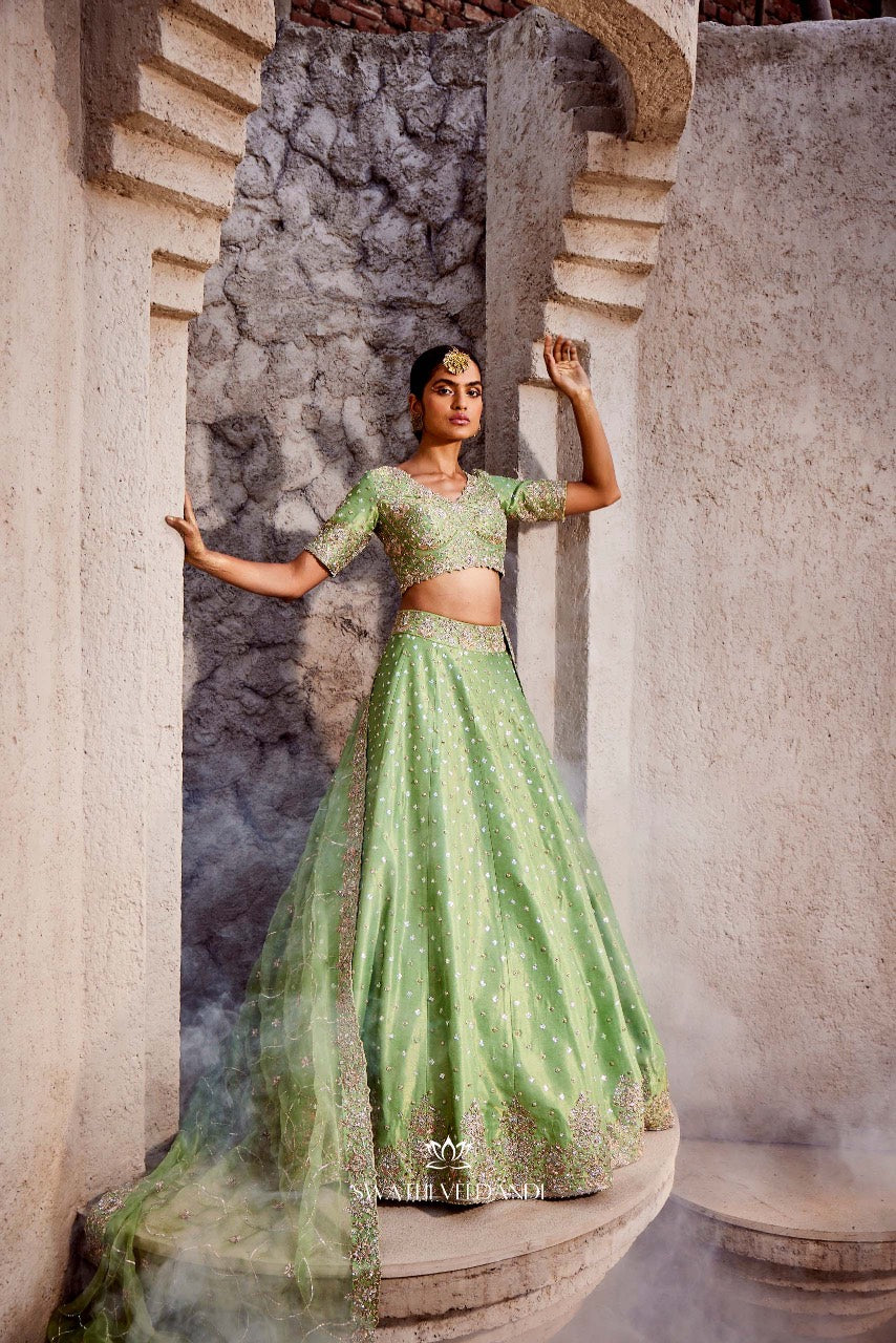 Beyond euphoria Lehenga Set