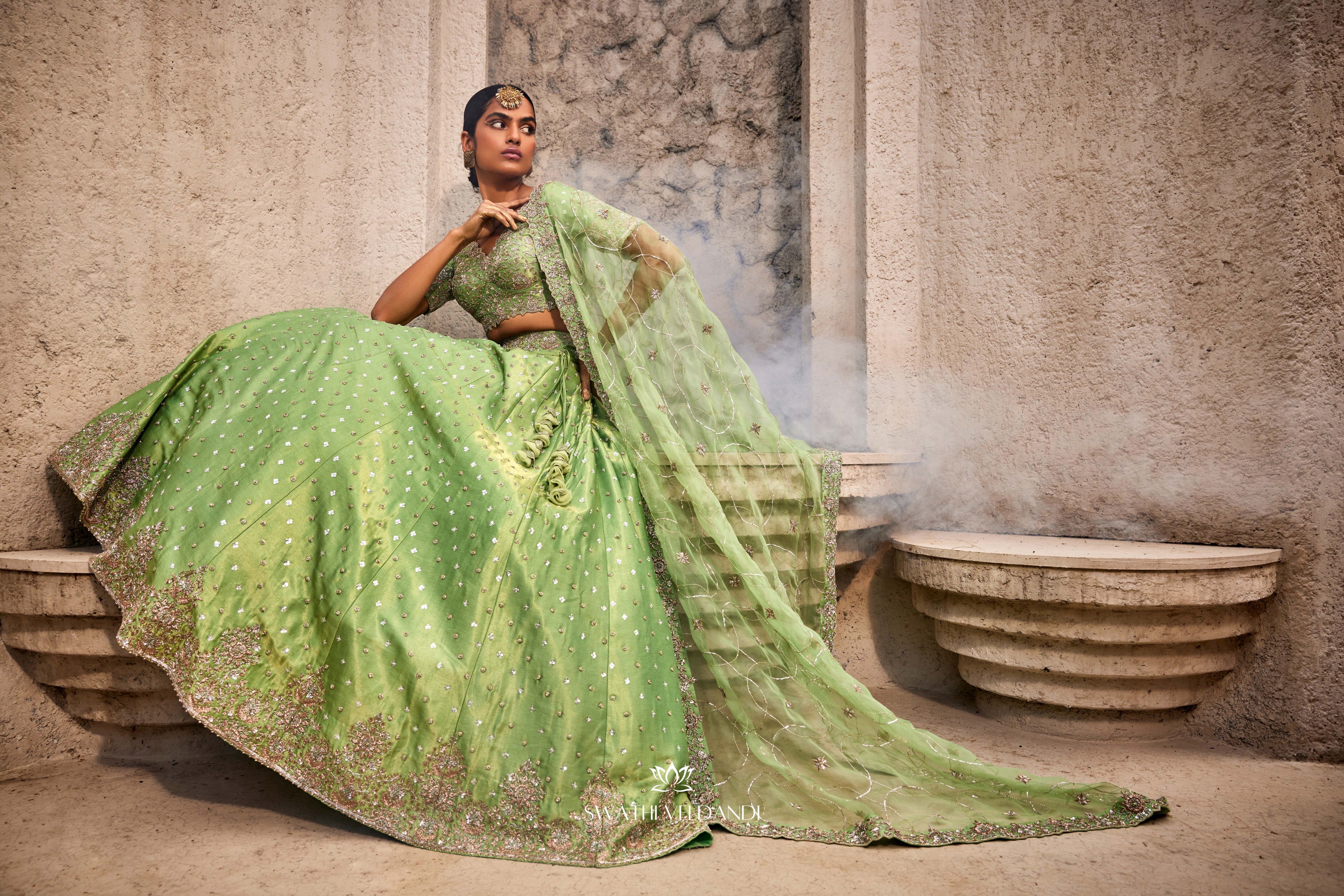 Beyond euphoria Lehenga Set