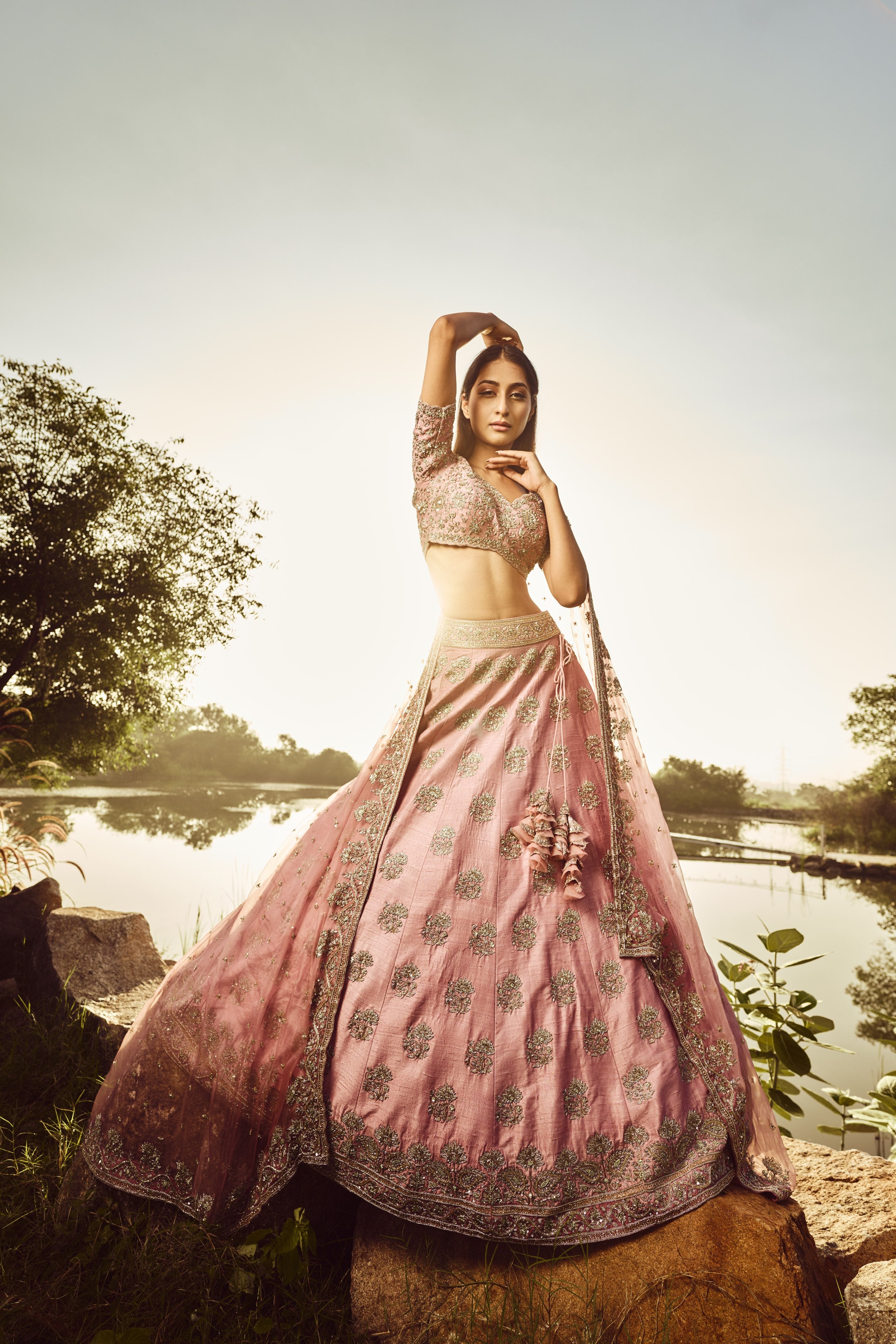 Stardust Lehenga Set